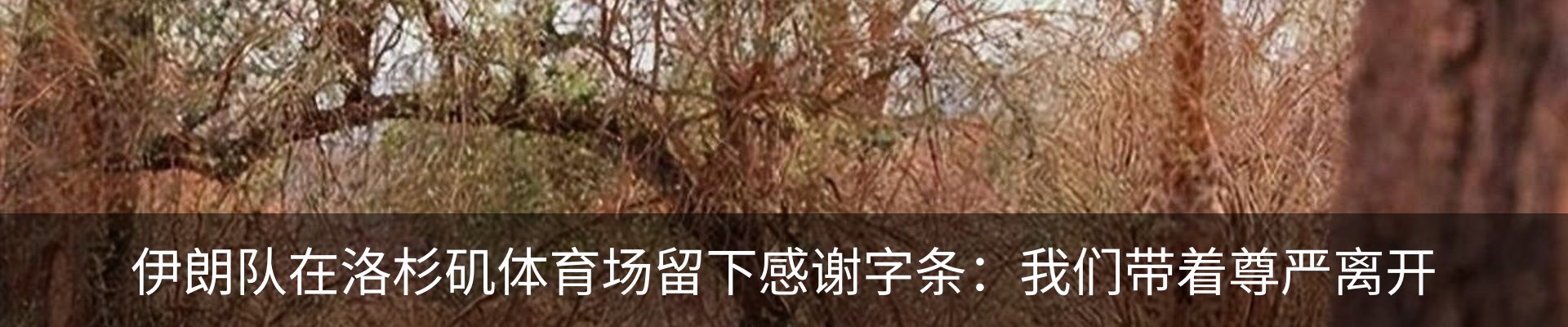 资讯中心