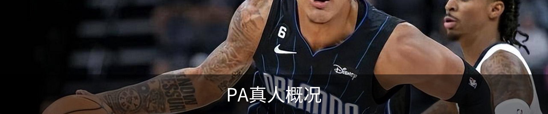 PA真人概况